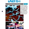 RETTUNGSDIENST 04/2000