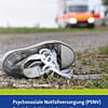 Taschenbuch Psychosoziale Notfallversorgung (PSNV) - Praxisbuch Krisenintervention