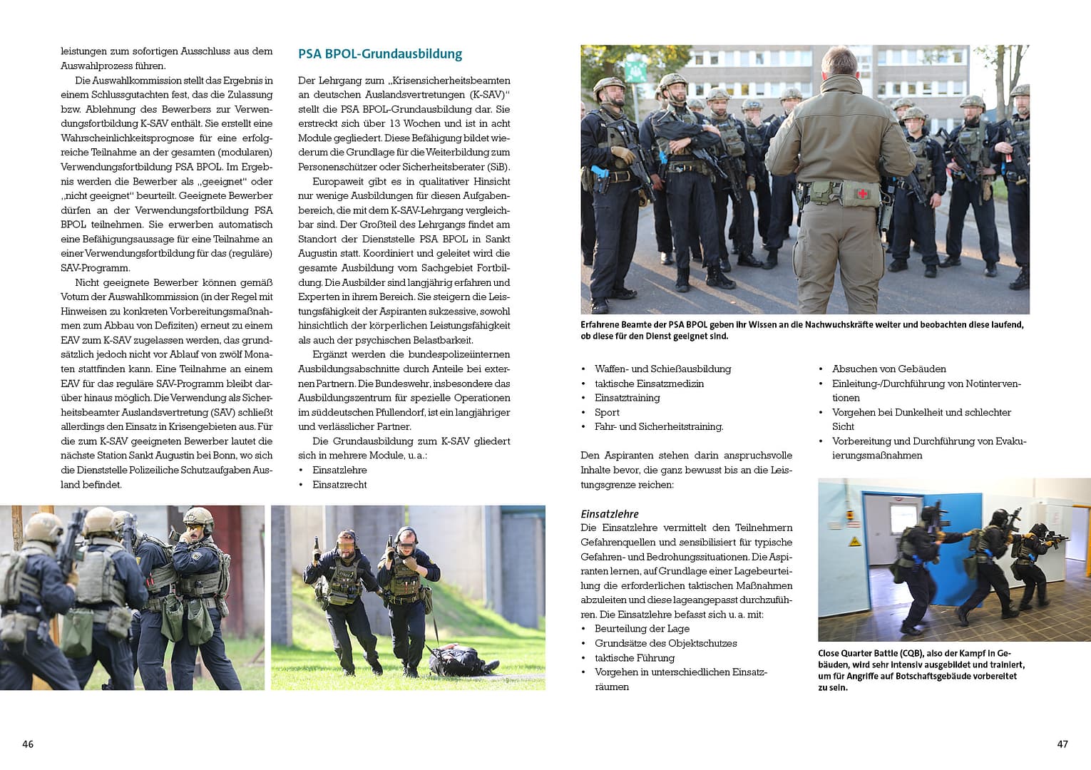 Dienststelle Polizeiliche Schutzaufgaben Ausland – Bild 2