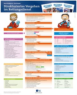 Strukturiertes Vorgehen im Rettungsdienst - Poster